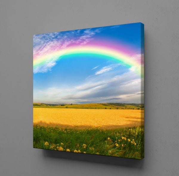 GÖKKUŞAĞI KANVAS TABLO