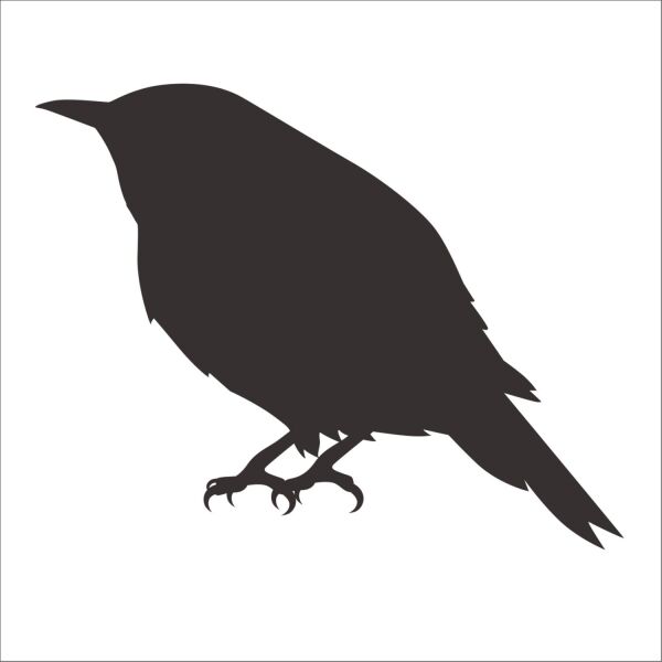 KUŞ FOLYO STİCKER DERSTV933