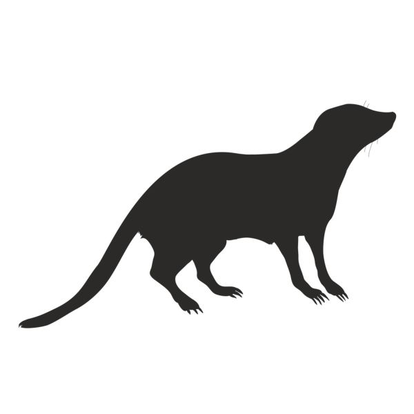 SANSAR FOLYO STİCKER