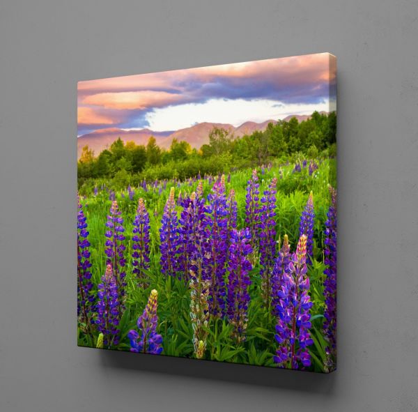 SÜMBÜL MANZARASI KANVAS TABLO