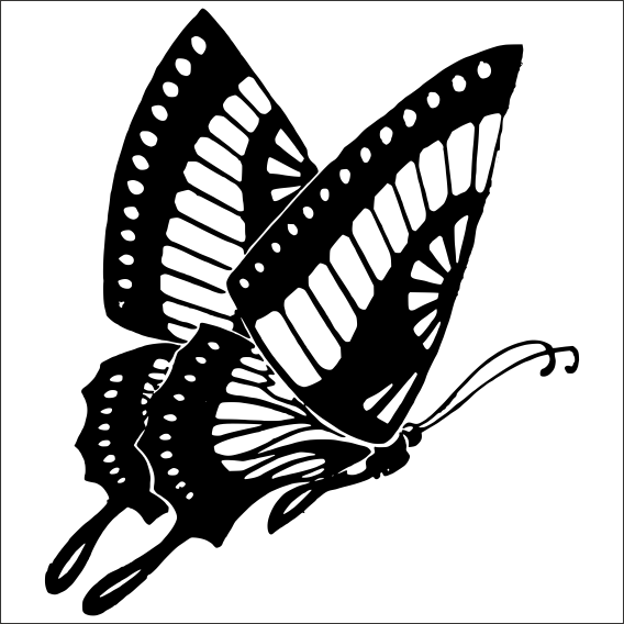 KELEBEK FOLYO STİCKER