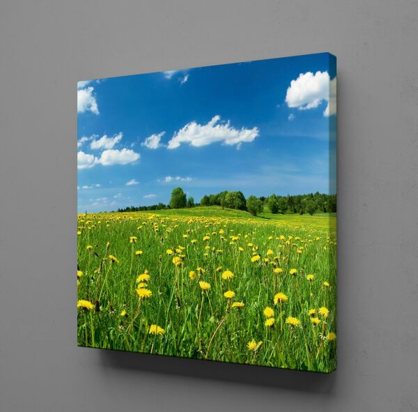 PAPATYA VE BULUTLAR KANVAS TABLO