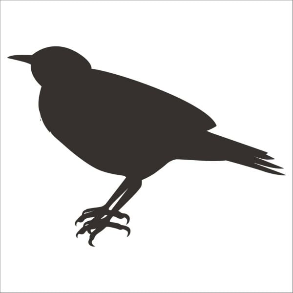 KUŞ FOLYO STİCKER DERSTV934