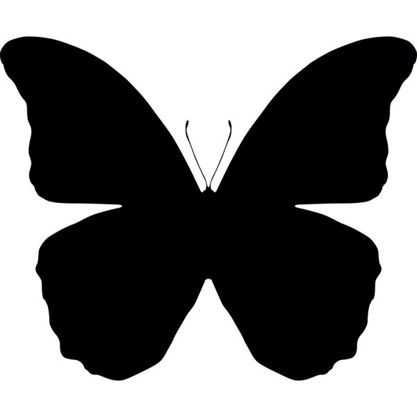 KELEBEK FOLYO STİCKER