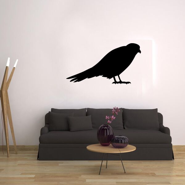 KUŞ FOLYO STİCKER DERSTV937