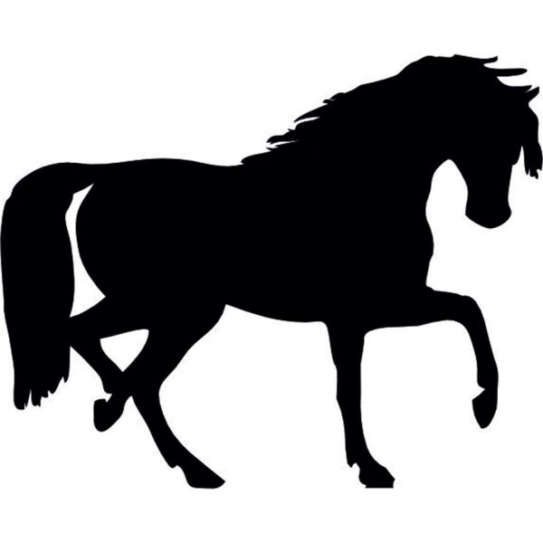 SİYAH AT FOLYO STİCKER