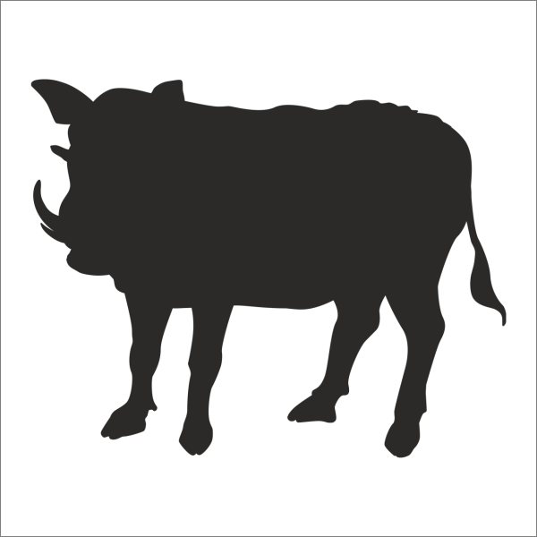 DOMUZ FOLYO STİCKER