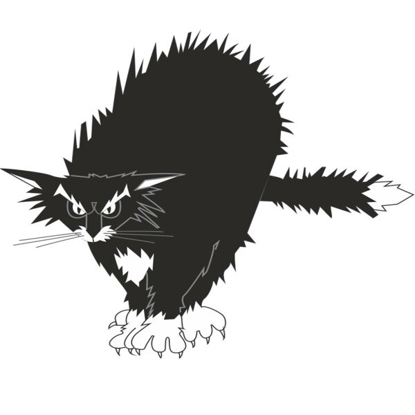 KEDİ FOLYO STİCKER