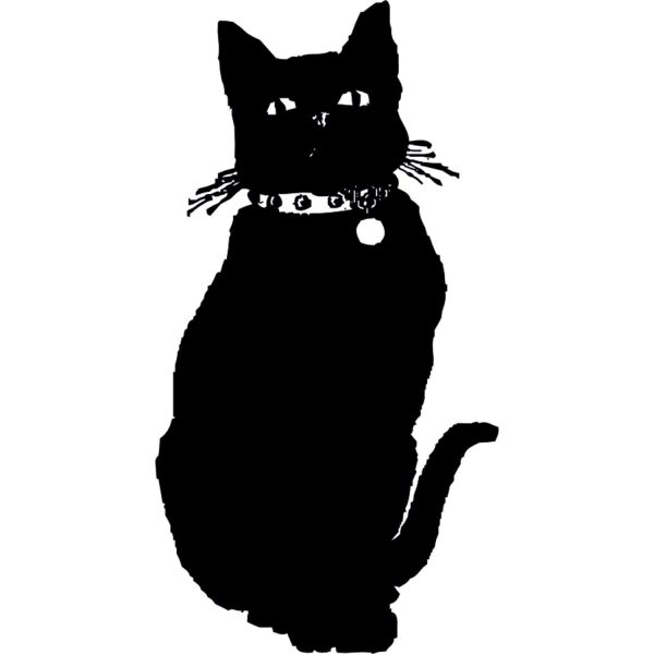 SİYAH KEDİ FOLYO STİCKER