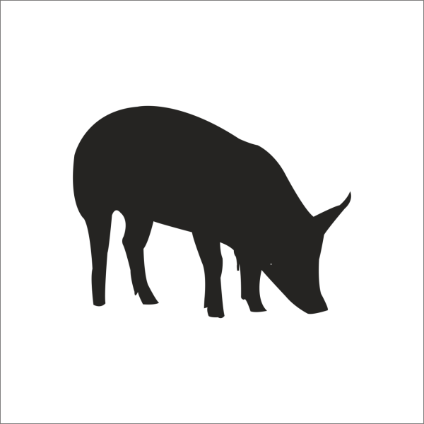 DOMUZ  FOLYO STİCKER