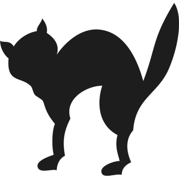 KEDİ FOLYO STİCKER