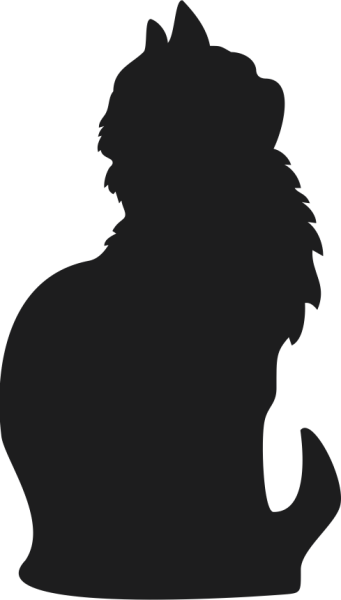 KEDİ FOLYO STİCKER