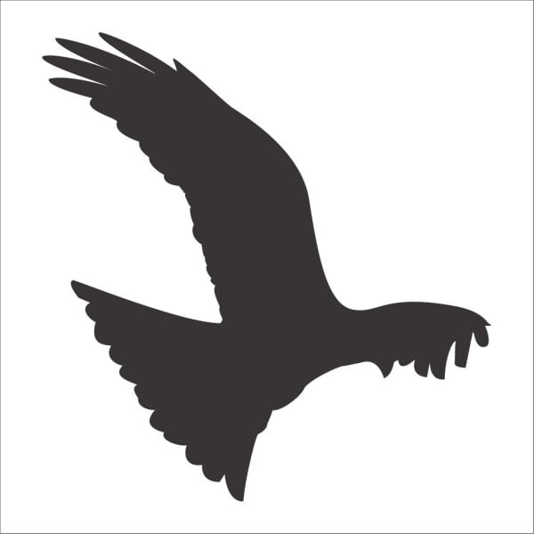 KUŞ FOLYO STİCKER