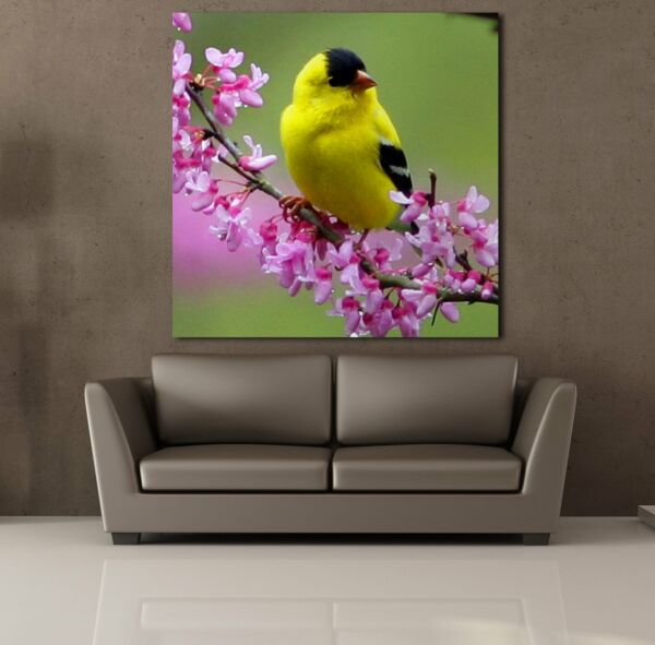 SARI KUŞ KANVAS TABLO