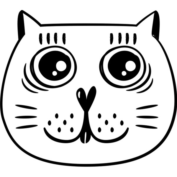 KEDİ FOLYO STİCKER