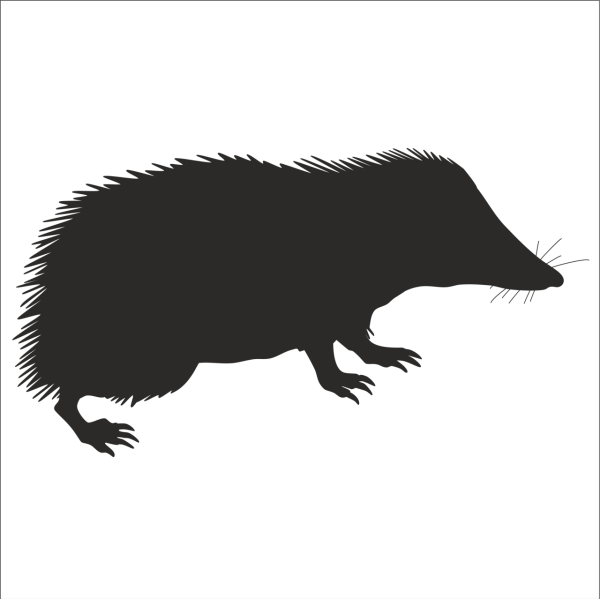 KİRPİ FOLYO STİCKER