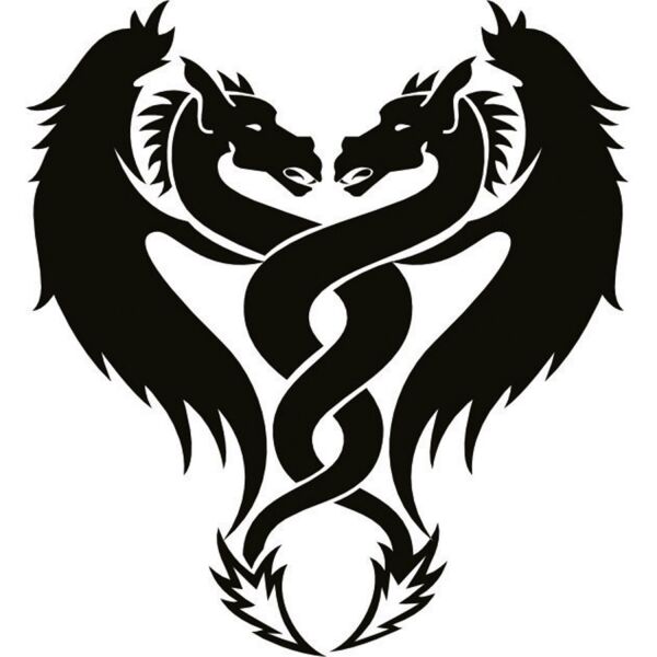 EJDERHA FOLYO STİCKER