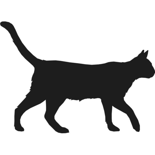 KEDİ FOLYO STİCKER