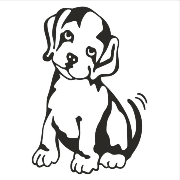 KÖPEK FOLYO STİCKER