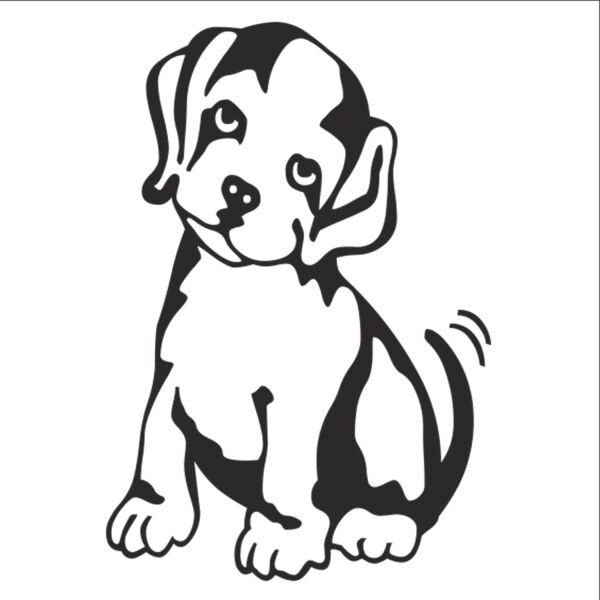 KÖPEK FOLYO STİCKER