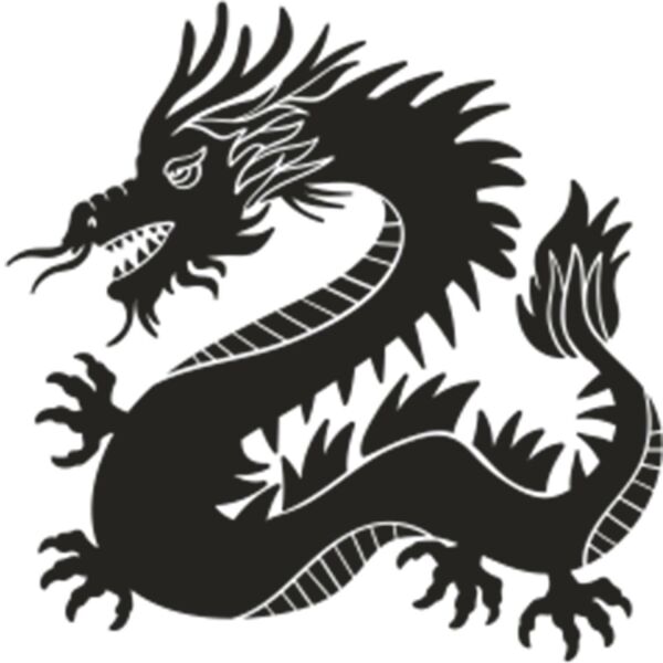 EJDERHA FOLYO STİCKER