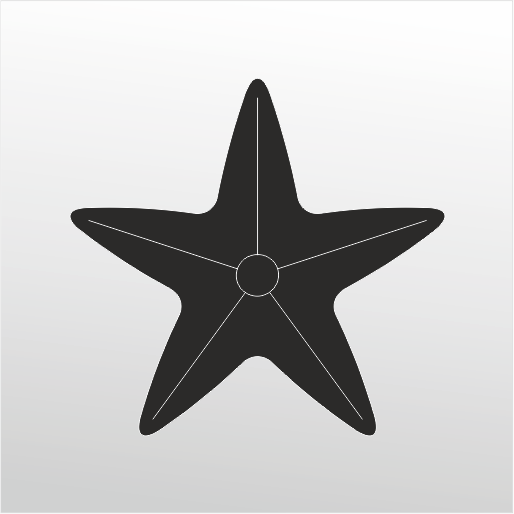 Folyo Sticker Deniz Yıldızı