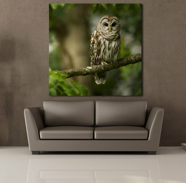 BAYKUŞ KANVAS TABLO