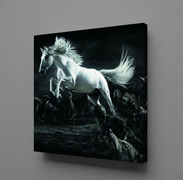 BEYAZ AT KANVAS TABLO