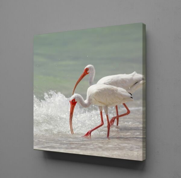 BEYAZ FLAMİNGOLAR KANVAS TABLO