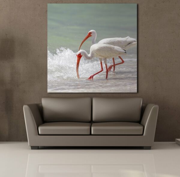 BEYAZ FLAMİNGOLAR KANVAS TABLO