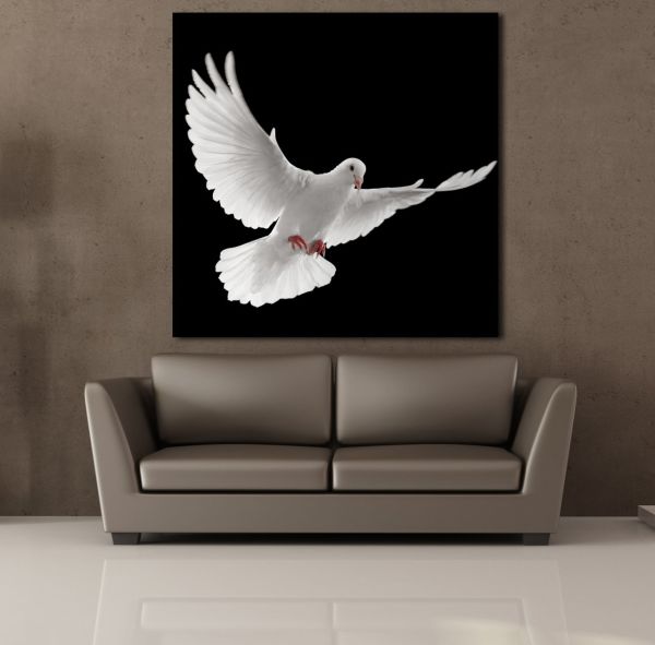 BEYAZ KUŞ KANVAS TABLO