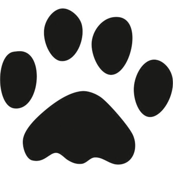 PATİ İZİ FOLYO STİCKER