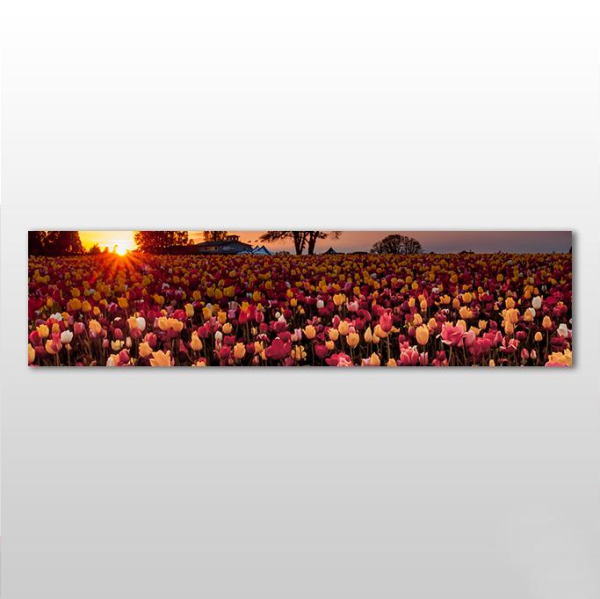 Laleler Kanvas Tablo