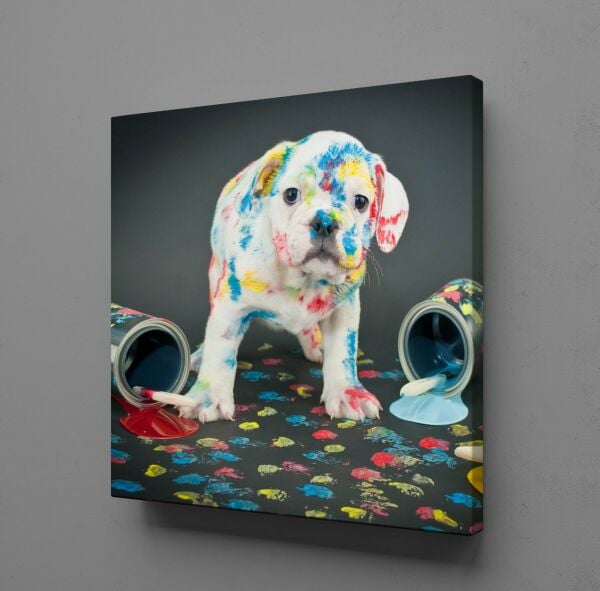 BOYA SIÇRAMIŞ BEYAZ KÖPEK KANVAS TABLO