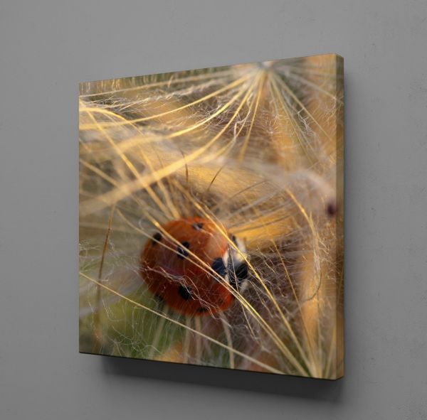 ÇİÇEKLERİN ARASINDA UĞUR BÖCEĞİ KANVAS TABLO