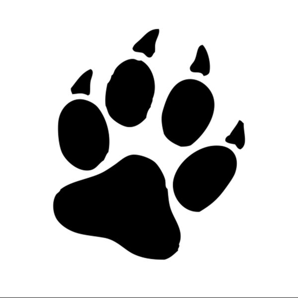 PATİ İZİ FOLYO STİCKER