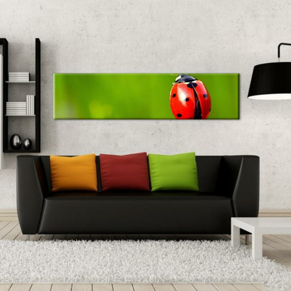 Uğur Böceği Kanvas Tablo