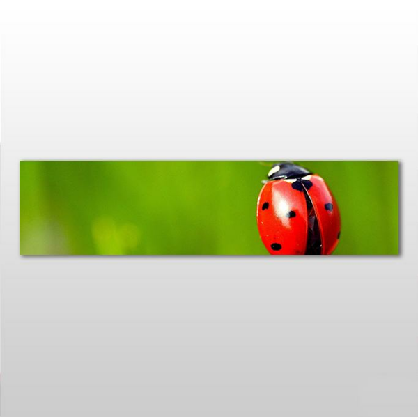 Uğur Böceği Kanvas Tablo