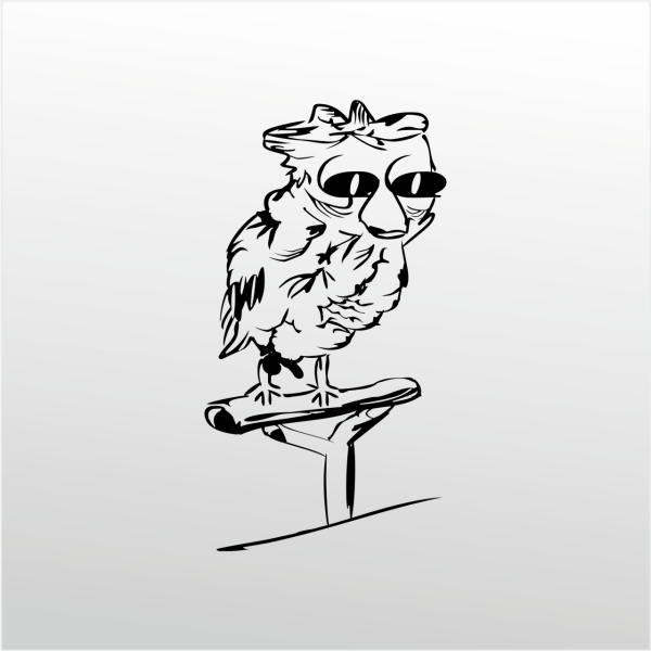 Folyo Sticker Baykuş