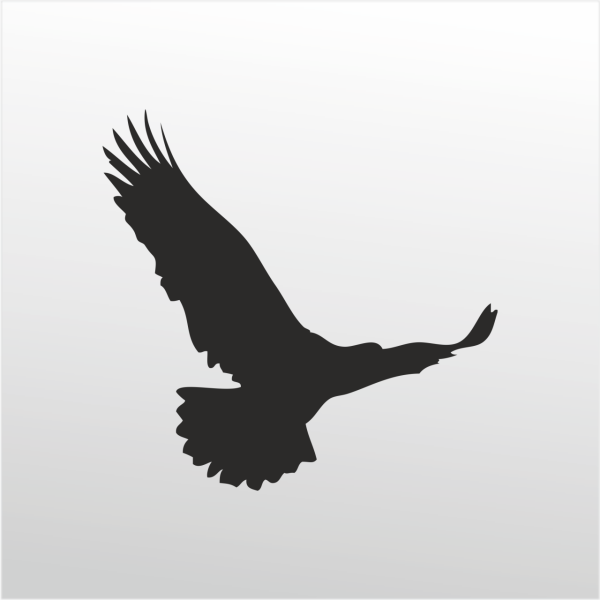 Folyo Sticker Kartal