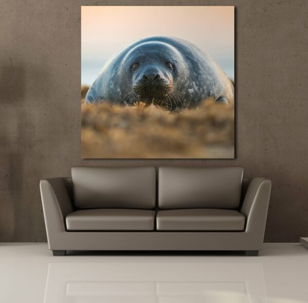 FOK BALIĞI KANVAS TABLO