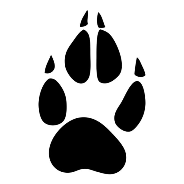 PATİ İZİ FOLYO STİCKER