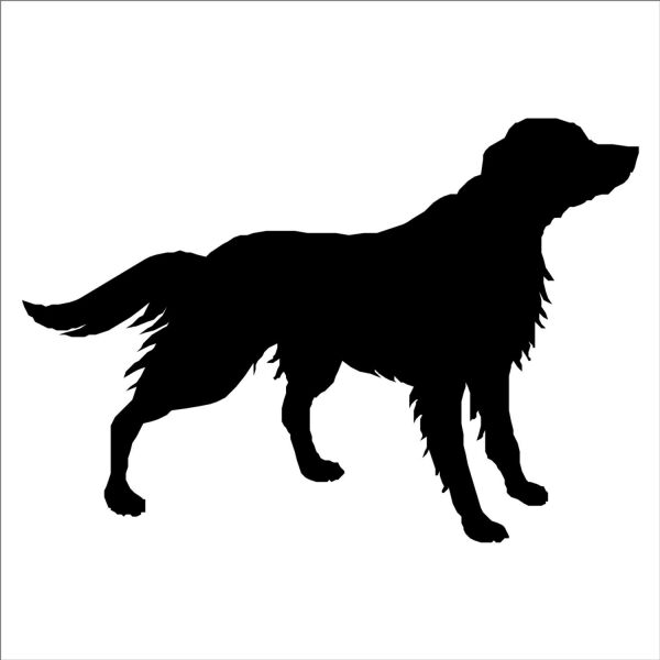 KÖPEK FOLYO STİCKER DERSTV870