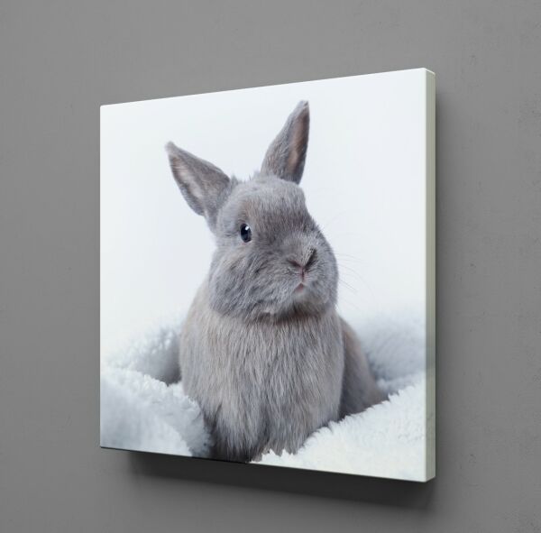 GRİ TAVŞAN KANVAS TABLO