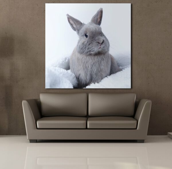 GRİ TAVŞAN KANVAS TABLO