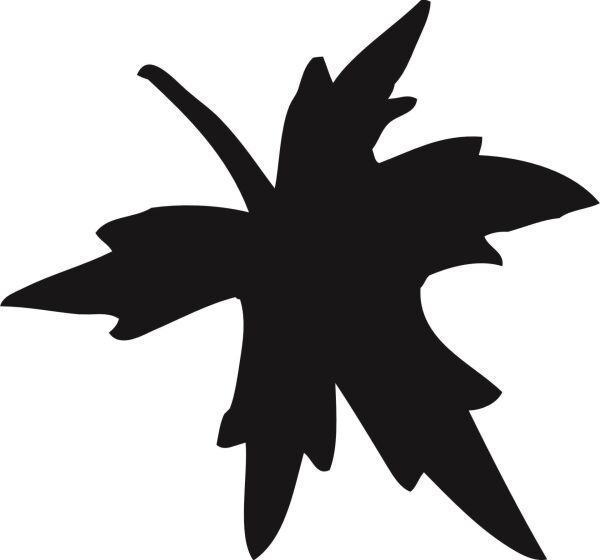 AĞAÇ VE GÜL RESİMLERİ FOLYO STİCKER