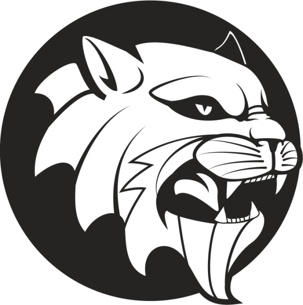 ASLAN 8 FOLYO STİCKER