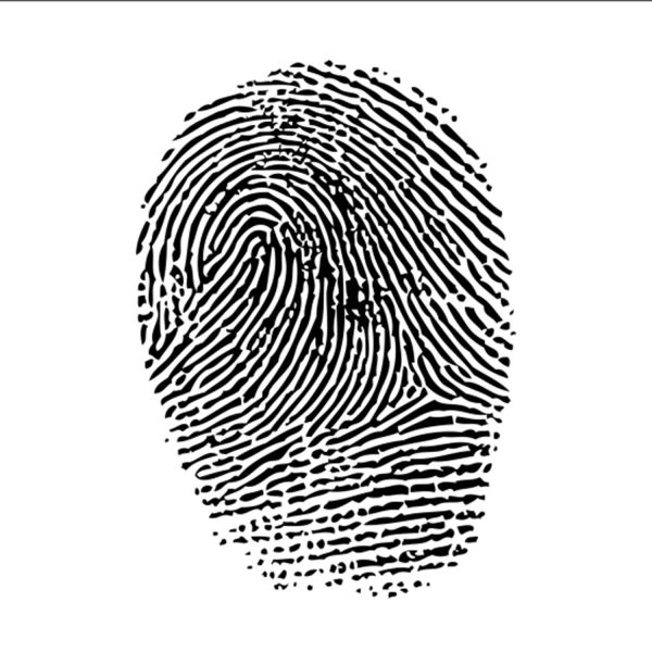 PARMAK İZİ FOLYO STİCKER