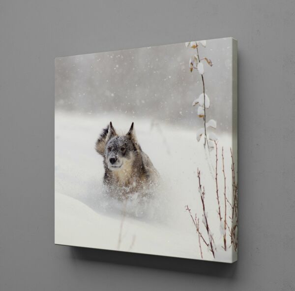 KAHVERENGİ KURT KANVAS TABLO