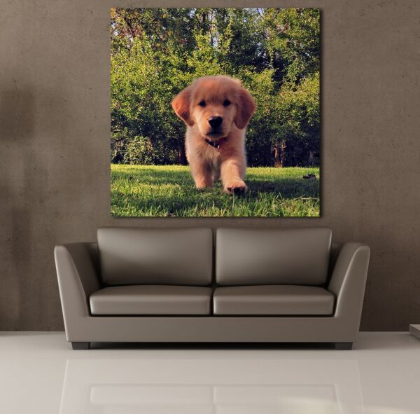 KAHVERENGİ YAVRU KÖPEK KANVAS TABLO